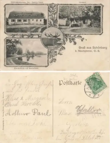 Schönberg bei Neuhammer Oberlausitz Sulików  Widokówka wieloobrazkowa o 1911