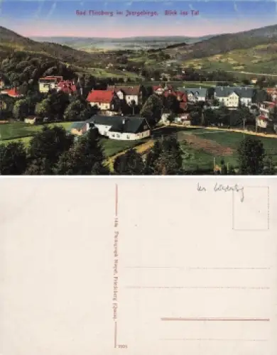 Bad Flinsberg Isergebirge Schlesien Blick ins Tal Swieradow-Zdroj * um 1920