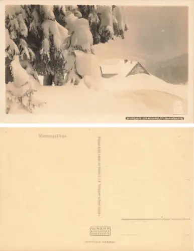 Riesengebirge Blaugrund Schlesien Hahn-Foto7035 * um 1920
