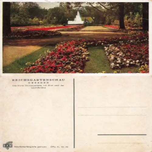 Dresden Reichsgartenschau 1936 Offizielle Karte Nr.42 Das kleine Blumenparterre