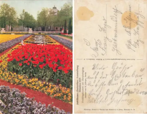 Dresden Jubiläums Gartenbau Ausstellung 1926 Frühlingsblumen am Haupteingang