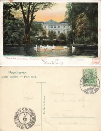 Dresden Zoologischer Garten Concerthaus o 1905