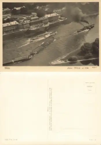 Pillnitz Dresden Schloss mit Schleppverband auf der Elbe Luftaufnahme * 1955 Verlag Hahn-Foto10377