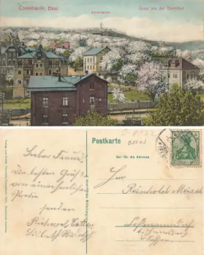 Cossebaude Dresden Baumblut o 1907