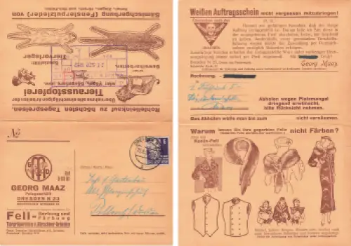 Pieschen Dresden Pelzgeschäft Georg Maaz Rehefelder Strasse 19 Vertreterklappkarte o 1952