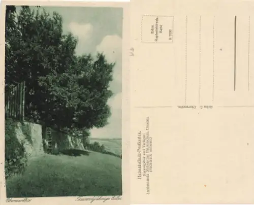 Oberwartha Dresden Tausendjährige Eiche * um 1920