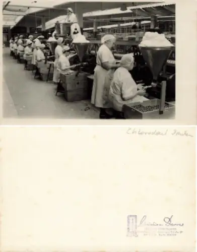 Dresden Chlorodont Zahnpasta Produktion Echtfoto * um 1930