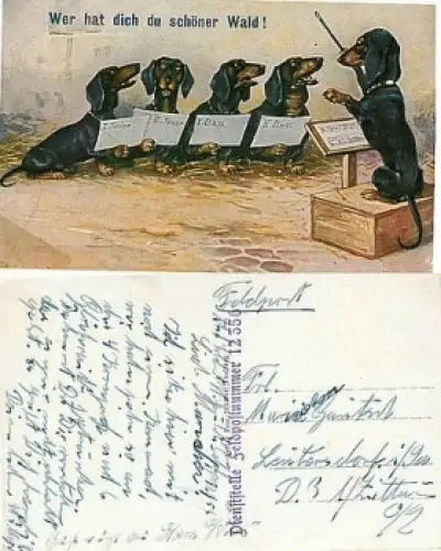 Dackel Chor *ca. 1910