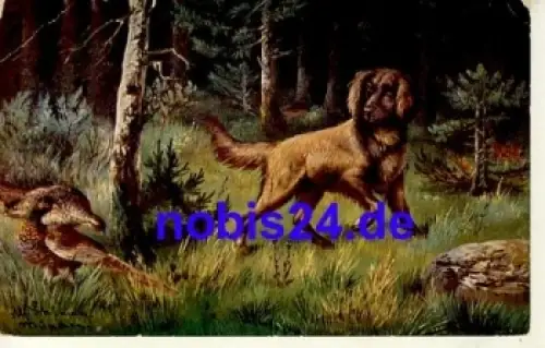 Jagdhund Künstlerkarte * ca.1915