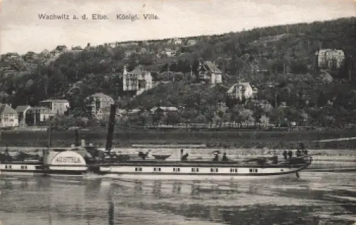 Wachwitz Dresden Königliche Villa Elbdampfer "Austria" * um 1910