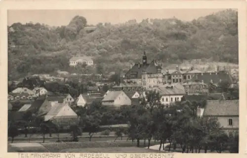 01445 Oberlößnitz Radebeul * um 1920