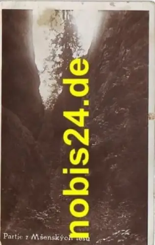 Partie z Msenskych lesu o ca.1930