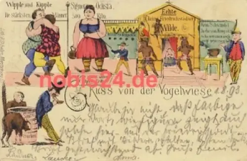 Dresden Vogelwiese Litho Vorläufer o 2.8.1893