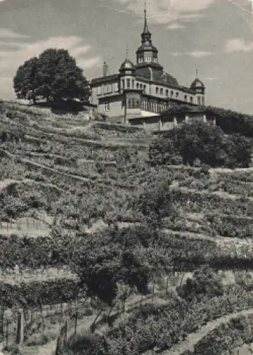 01445 Oberlößnitz Radebeul Spitzhaus * um 1950
