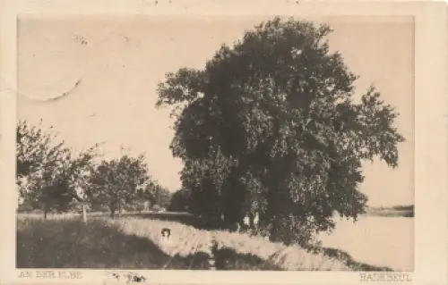 01445 Lößnitz Radebeul An der Elbe o 1933