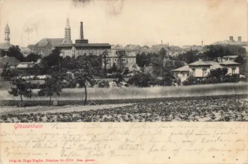 01558 Großenhain Totalansicht o 1906