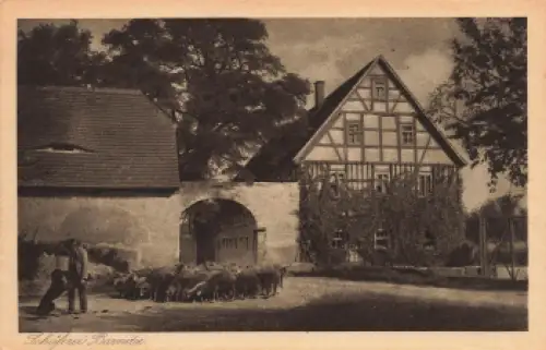 01665 Barnitz Diera-Zehren Schäferei * um 1920