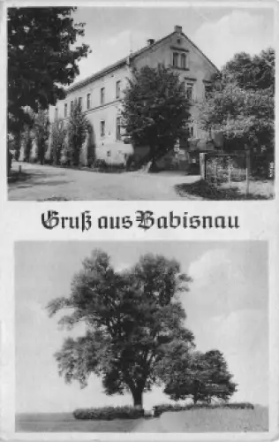 01731 Babisnau Kreischa Restaurant und Babisnauer Pappel * um 1940