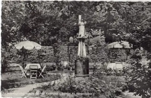 49610 Börstel Waldwirtschaft Kolkhorst Windmühle o 21.01.1961