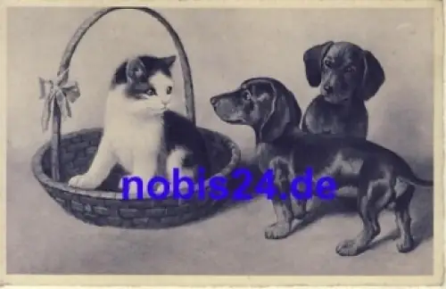 Dackel und Katze Freunde * um 1930