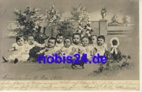 Dackel Zylinder Babys o 1904