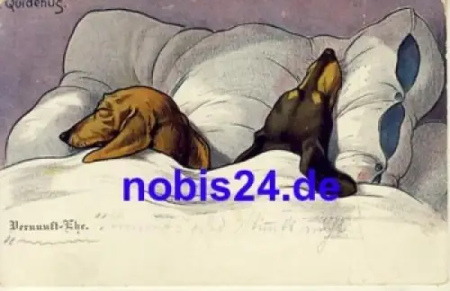 Dackel im Bettchen Postkarte o 1906