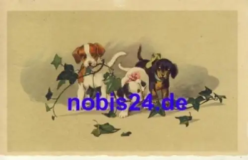 Dackel Gruppe Postkarte o 1928