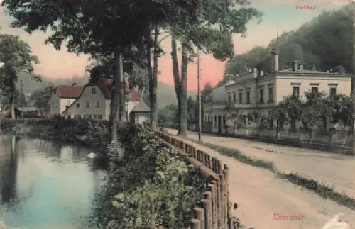 01737 Tharandt Stadtbad Bahnpoststempel Dresden-Reichenbach Zug 1013 o 1908