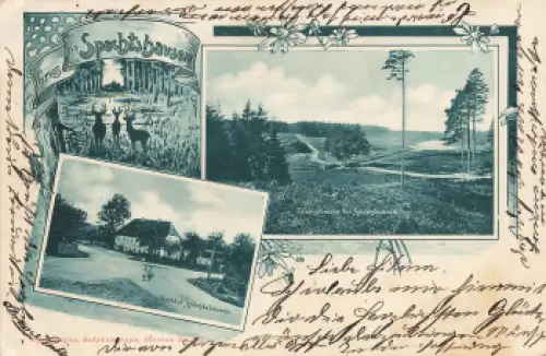 01737 Spechtshausen Kurort Hartha Tharandt Gasthof o um 1900