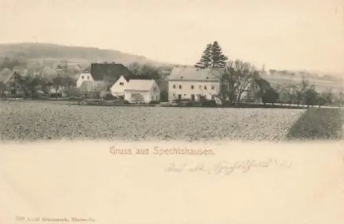 01737 Spechtshausen Kurort Hartha Tharandt * um 1900