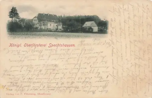 01737 Spechtshausen Kurort Hartha Tharandt Oberförsterei o1902