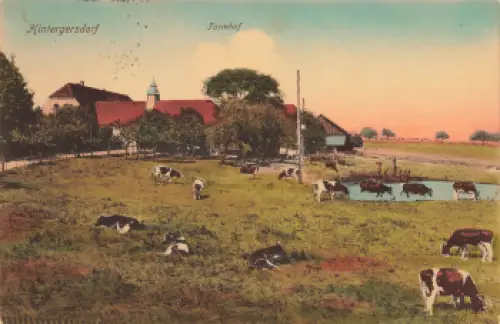 01737 Hintergersdorf Kurort Hartha Tharandt Turmhof mit Kuhweide o 1918