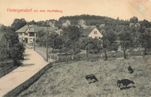 01737 Hintergersdorf Kurort Hartha Tharandt mit Harthaberg gebraucht 1918