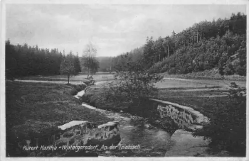 01737 Hintergersdorf Kurort Hartha Tharandt an der Triebisch * um 1930