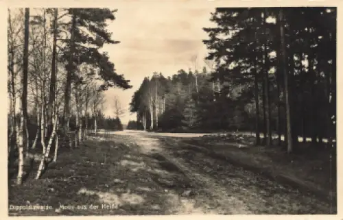 01744 Dippoldiswalder Heide o 1951