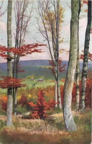 01773 Rehefeld Erzgebirge Schloss vom Hemmschuh * um 1920