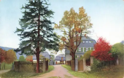 01773 Rehefeld Erzgebirge Jägerhof Photochromie um 1920
