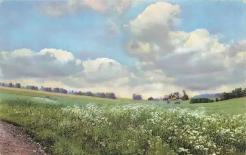 09544 Neuhausen Erzgebirge Photochromie * um 1920