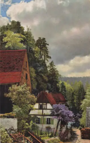 01848 Hohnstein Photochromie Serie 298 Nr. 4555 * um 1920