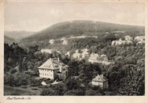 01816 Bad Gottleuba o 1951