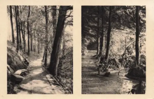 01816 Bad Berggießhübel vor und nach der Unwetterkatastrophe 8./9. Juli 1927 Poetenweg