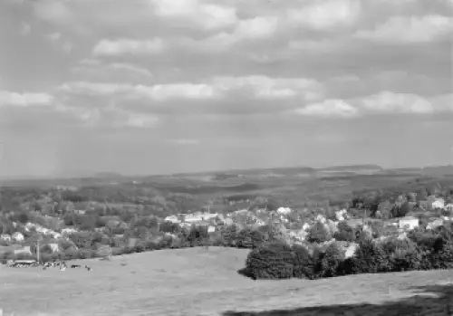 01816 Bad Berggießhübel * 1980 Hanich2360