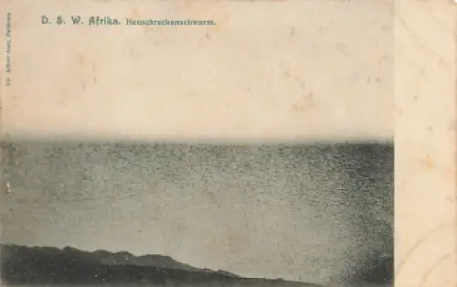 Heuschreckenschwarm Deutsch-Südwestafrika * um 1900