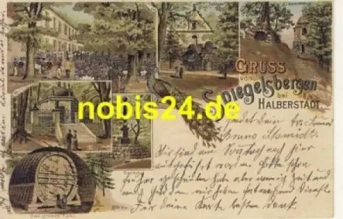 38820 Halberstadt Litho Pfau Spiegelsbergen o 1907