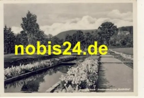 38871 Ilsenburg Harz Friedrichspark o 14.6.1952