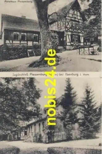 38871 Ilsenburg Forsthaus Plessenburg *ca.1920