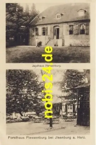 38871 Ilsenburg Jagdhaus Forsthaus Plessenburg  *1923