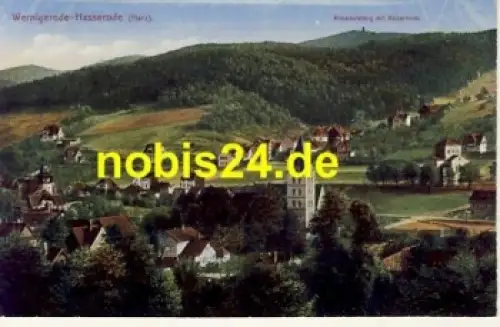 38855 Wernigerode Harz *ca.1915