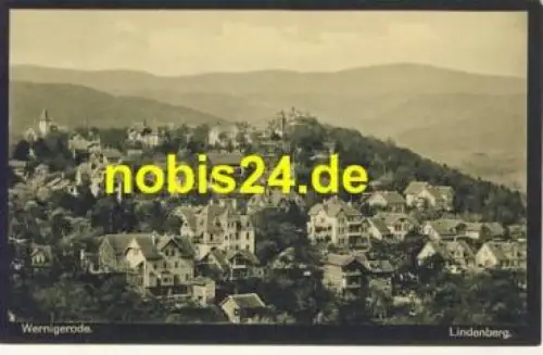38855 Wernigerode Harz Lindenberg *ca.1920