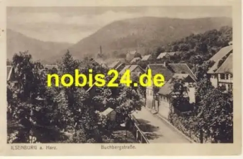 38871 Ilsenburg Harz Buchbergstrasse *ca.1930